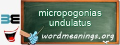 WordMeaning blackboard for micropogonias undulatus